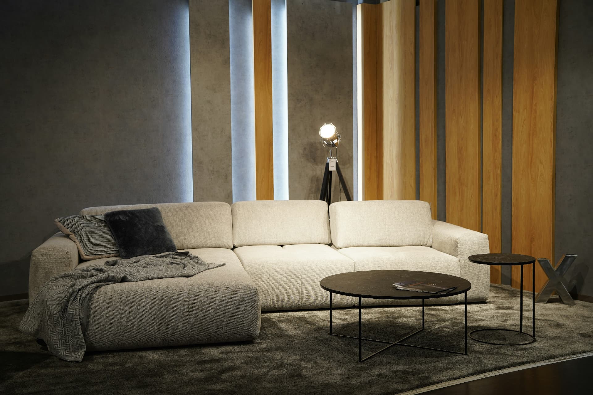 Furniture showroom interior
